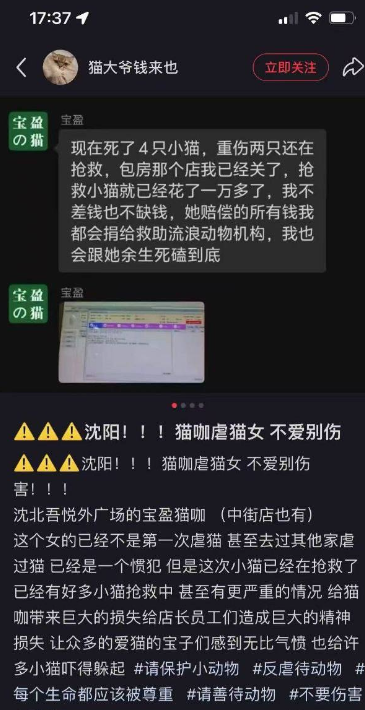 辽宁沈阳猫咖内现虐猫致死案件， 看过完整监控后的猫主怒报警！-吃瓜网